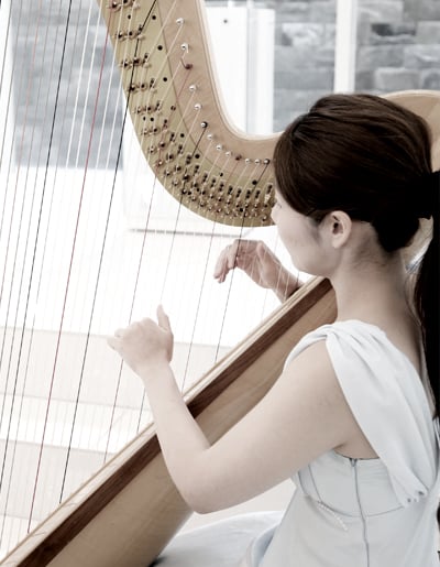 A HARP PLAYER